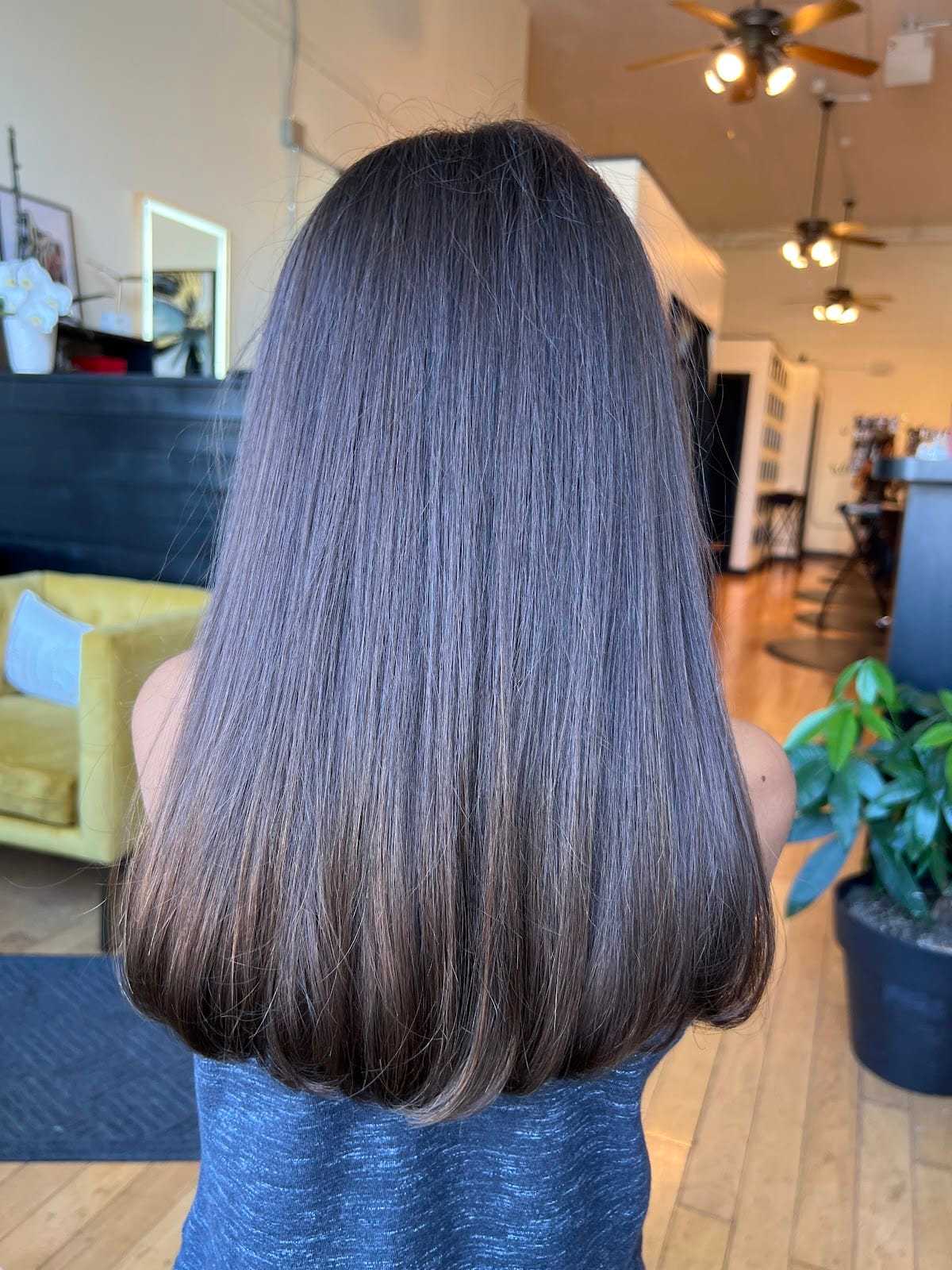 Back view of a person with long, straight, brown hair in a salon setting.